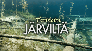 Tarinoita järviltä