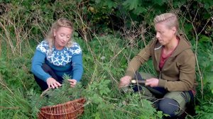 Strömsöstä poimittua