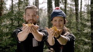 Från jord till bord