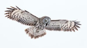 Tarinoita tuntureilta