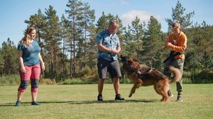 Koiraperheet käytöskoulussa