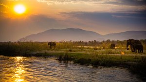 Maailman mahtavimmat joet