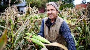 Tanskalainen maajussi