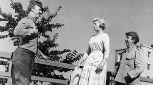 Pekka ja Pätkä ketjukolarissa