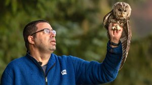 Pelastetaan villieläimet