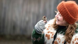 Livet - suomenruotsalaisia tarinoita