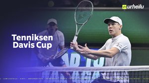 Tenniksen Davis Cup