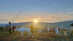 Perintö ja hiljaisuus