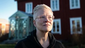 Livet - suomenruotsalaisia tarinoita