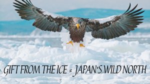 Avara luonto: Japanin villi pohjoinen