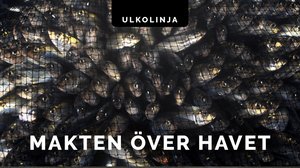 Ylikalastus tyhjentää meret