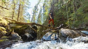 Maajussin luontokuvat