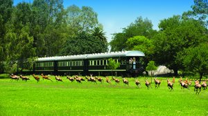 Maailman kauneimmat junareitit