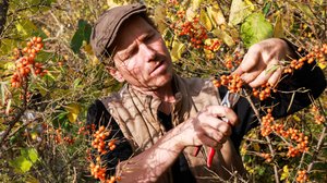 Tanskalainen maajussi