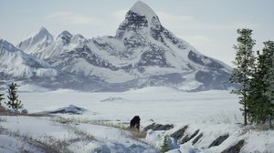 Jääkauden salaisuudet