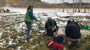 Pohjoisen eläinlääkärit