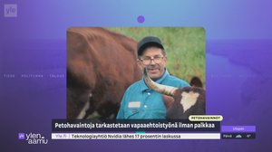 Yle Uutiset