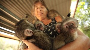 Afrikan eläinten auttajat