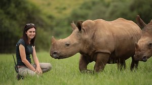 Afrikan eläinten auttajat