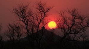 Afrikan eläinten auttajat