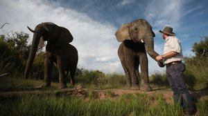 Afrikan eläinten auttajat