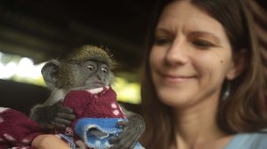 Afrikan eläinten auttajat