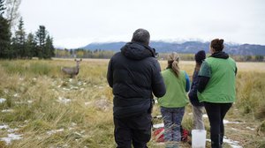 Pohjoisen eläinlääkärit