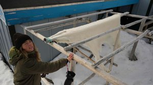 Lumenvalkoisia unelmia