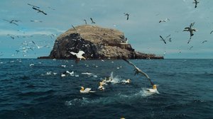 Avara luonto: Monimuotoinen Eurooppa