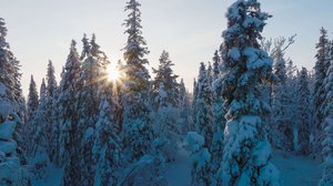 Avara luonto: Monimuotoinen Eurooppa