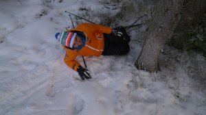 Stephanin hiihtomaraton