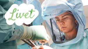 Livet - suomenruotsalaisia tarinoita