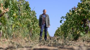 Francon jälkeen - Alcántaran perhe