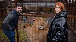 Stacey Dooley yökylässä