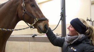 Tallityttöjä ja eliittiratsuja