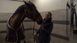 Tallityttöjä ja eliittiratsuja