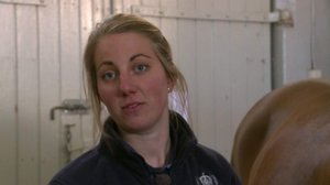 Tallityttöjä ja eliittiratsuja