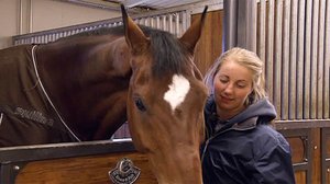 Tallityttöjä ja eliittiratsuja