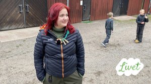 Livet - suomenruotsalaisia tarinoita