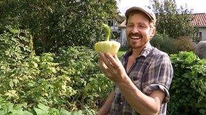 Tanskalainen maajussi