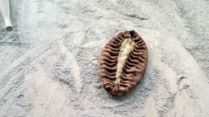 Tusina tavaraa Suomesta