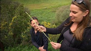 Annen espanjalaisherkut