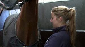 Tallityttöjä ja eliittiratsuja