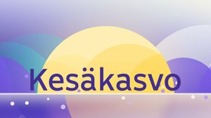 Kesäkasvo