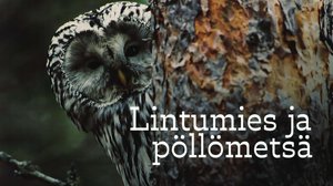 Lintumies ja pöllömetsä