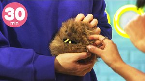 BUU-klubben (30 min)