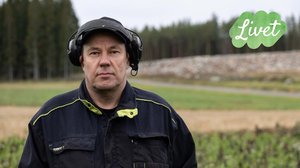 Livet - suomenruotsalaisia tarinoita