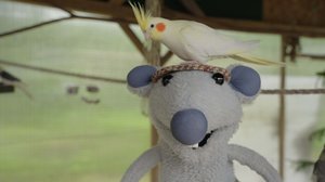 Mossen tutkimusretket