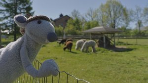 Mossen tutkimusretket