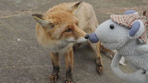 Mossen tutkimusretket